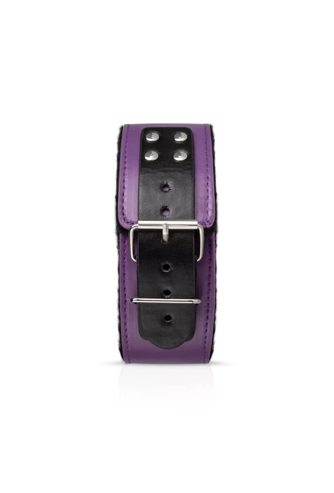 Secret Pleasure Chest Purple Apprentice - zestaw akcesoriów do BDSM 3.webp