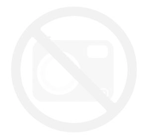 SILEXD Model 4 cielisty - realistyczny wibrator 21,5 cm